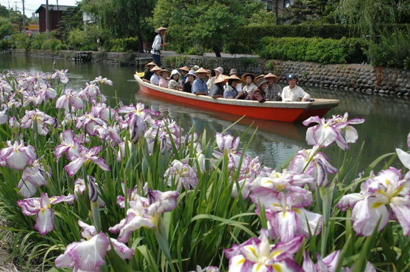 我是圖