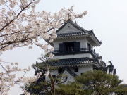 我是圖