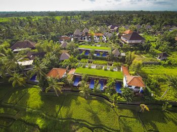 峇里島 烏布綠色別墅渡假村 Ubud Green Resort Villas