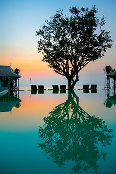 Infinity Pool