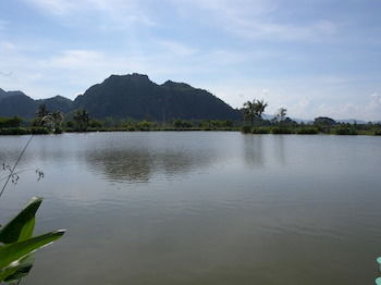 Fishing