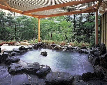 Natural Pool