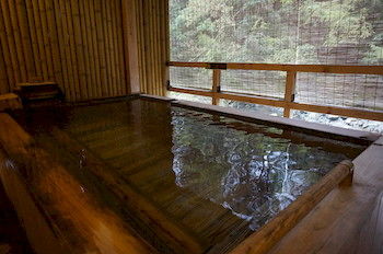 Natural Pool