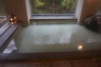 Natural Pool