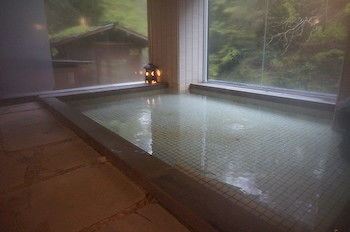 Natural Pool