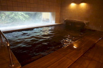 Natural Pool