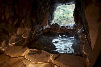 Natural Pool