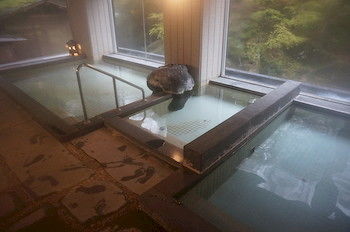Natural Pool