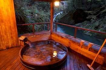 Natural Pool