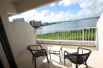 Guestroom View