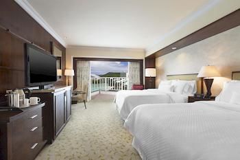 Guestroom View