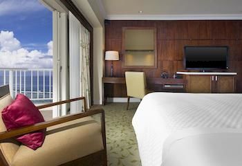 Guestroom View