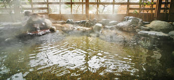 Natural Pool