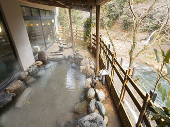 Natural Pool