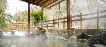 Natural Pool
