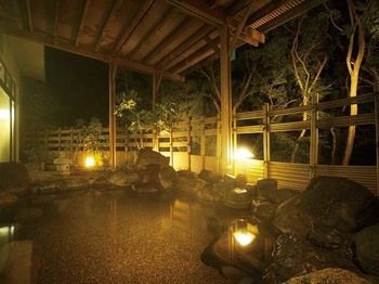 Natural Pool