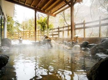 Natural Pool