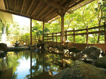 Natural Pool