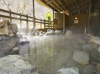 Natural Pool