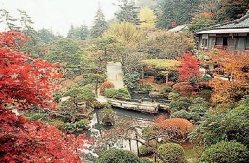 外觀