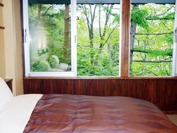 Guestroom View