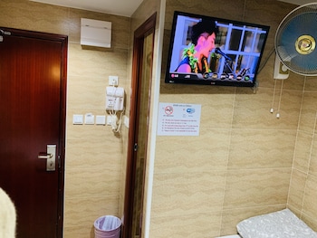 Television