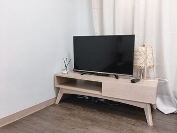 Television