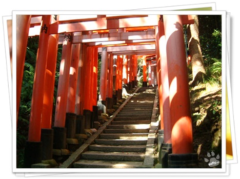 【樂桃航空】大阪計畫票(高雄出發)