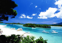 【台灣虎航~沖繩樂活4日】海洋博、古宇利島、瀨長島、玉泉洞、沖繩文化美食