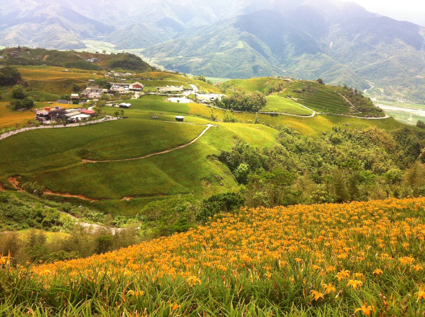 限定賞花季+富野渡假飯店｜船上觀星、六十石山金針花海、瑞穗牧場