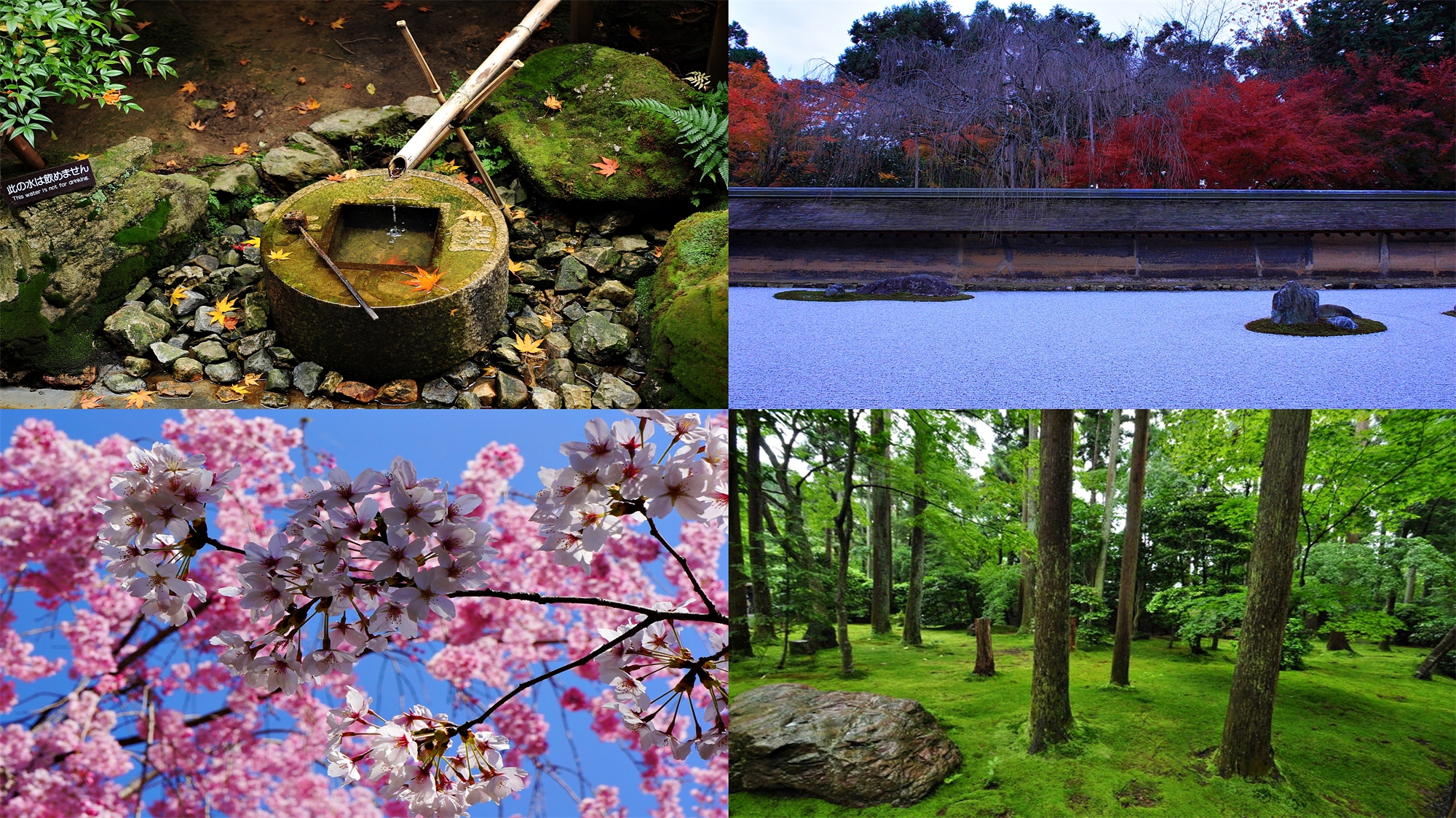 戀戀關西 京の遺產 清水寺 金閣寺 藝妓回憶千鳥居 枯山水石庭の謎 龍安寺 新世界通天閣 Diy章 易飛網國外旅遊