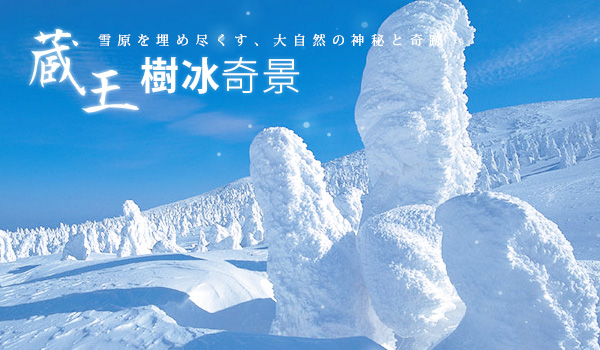 【愛上東北藏王樹冰5日】銀山溫泉、大內宿、松島灣遊船、喜多方拉麵、會津鐵道、採草莓