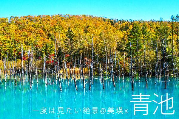 《蔚藍北海道５日》積丹半島.美瑛秘境青池.洞爺湖花火.浪漫小樽.輕旅行(旭旭)