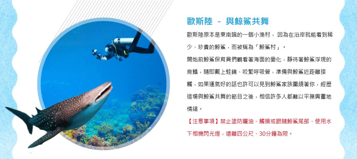 宿霧 歐斯陸 鯨鯊共舞 