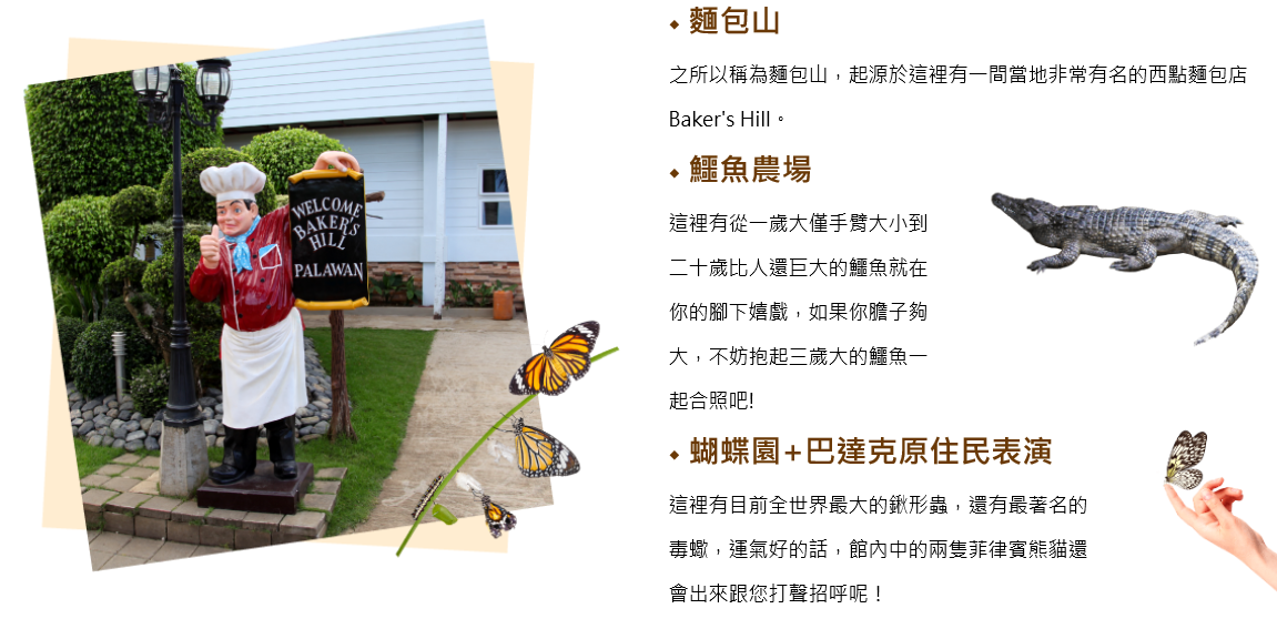 巴拉望市區觀光1