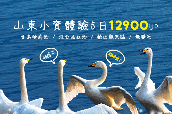 【小資體驗山東】青島哈啤酒、煙台品紅酒、榮成觀天鵝 5 日～無購物(冬季行程)