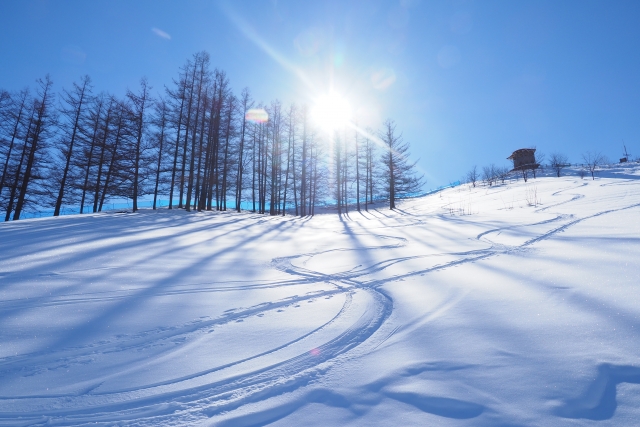 易起玩雪趣➤東京日光百選名湯滑雪5日