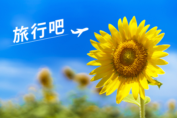 【華信假期-金門自由行】浯居浯宿