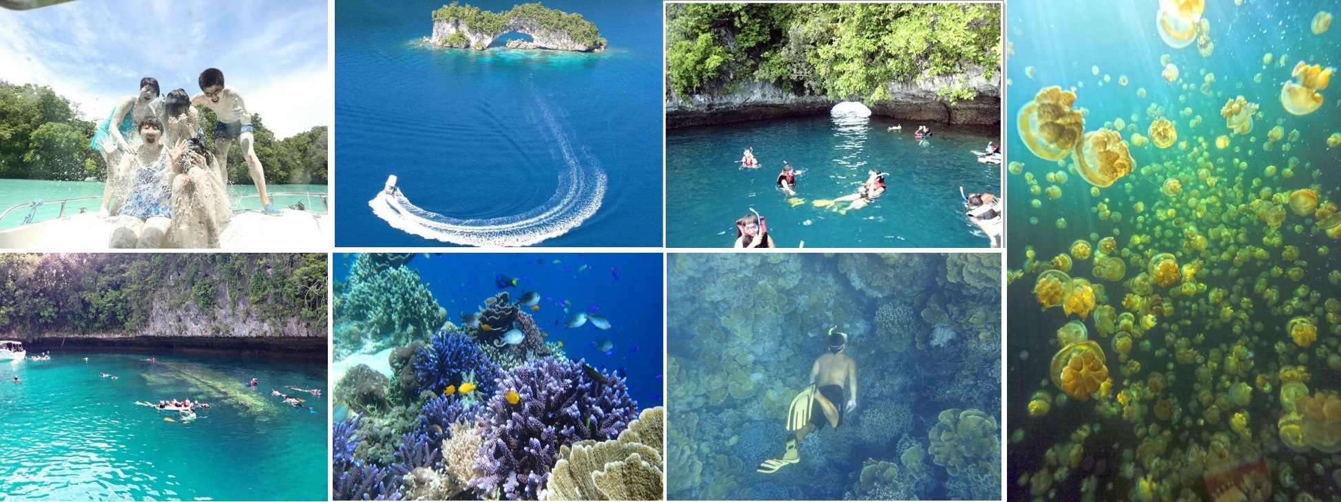 巨大帛琉洛克群島