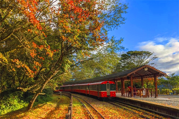 【高鐵旅誌】阿里山風情．最美日出．懷舊奮起湖2日（台北出發）