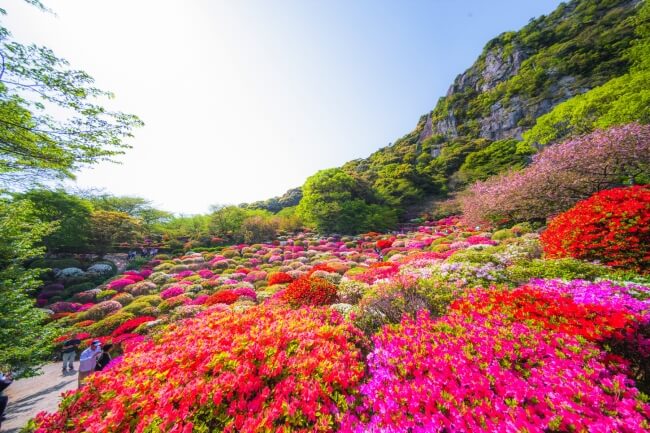 【台虎易起飛．母親節專案．佐賀三大溫泉5日】祐德稻荷神社、御船山樂園、羊羹資料館、柳川遊船、LALA...