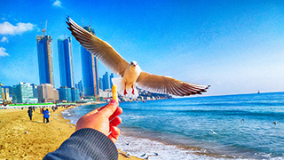 【韓國釜山│機加酒5日】海雲台STX費利克斯酒店自由行自由行(釜山航空)