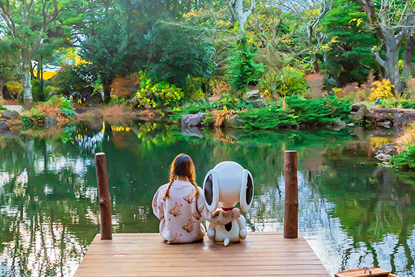 【韓國神秘機票】濟州5日計畫票（含稅＋20公斤行李＋贈五日網卡）