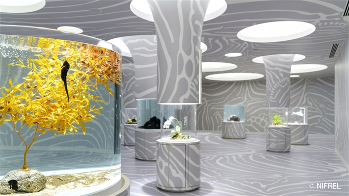 【掛訂車用/沒要出團】