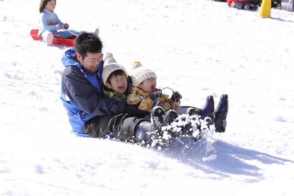 關西四都戲雪+環球影城 5 日｜六甲山雪樂園、神戶水族館、奈良可愛小鹿、兔子神社、清水寺、伏見稻荷