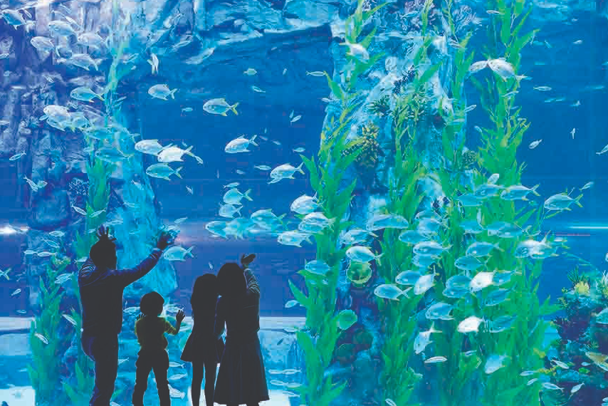 【台虎易起飛．嗨玩韓國5+1日】最大級樂天世界+水族館、超刺激斜坡滑車、絕美抱川單軌列車、愛的迫降漢...