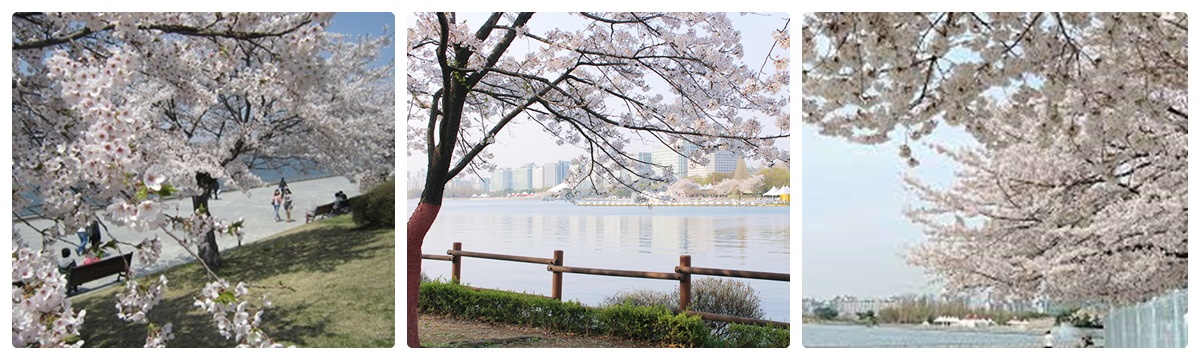 一山湖水公園
