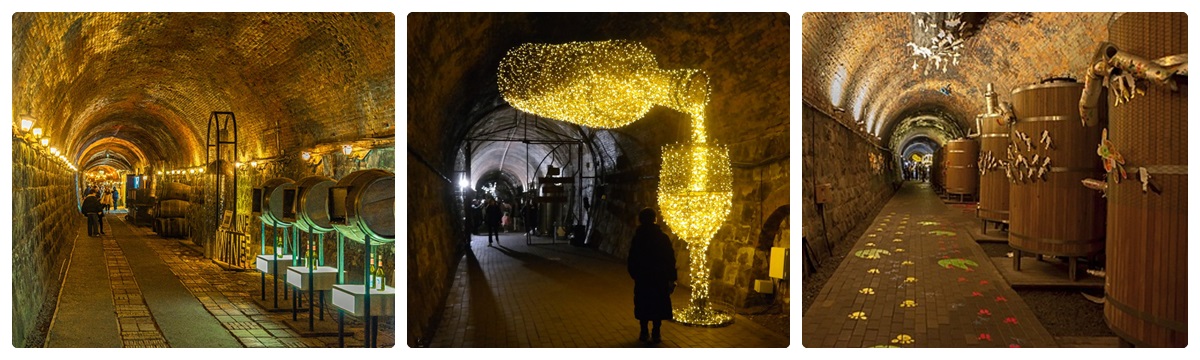 WINE柿酒隧道
