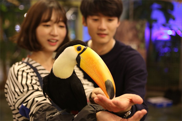 【韓亞易起飛．潮遊韓國5日】世界第七大愛寶樂園、韓國最大室內Zoolung動物園、環湖鐵路自行車、文...