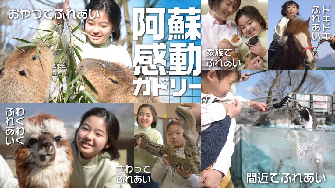 阿蘇卡德利動物樂園